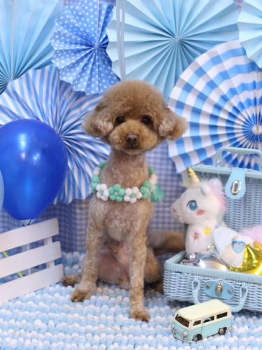 20231123なるくん